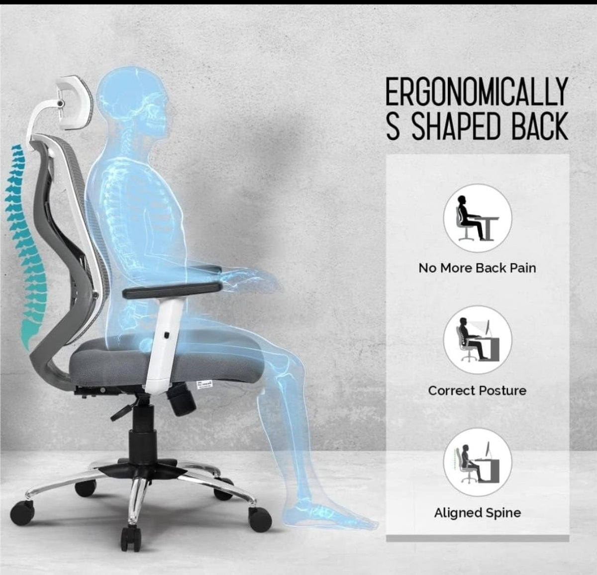 Human seats slider
